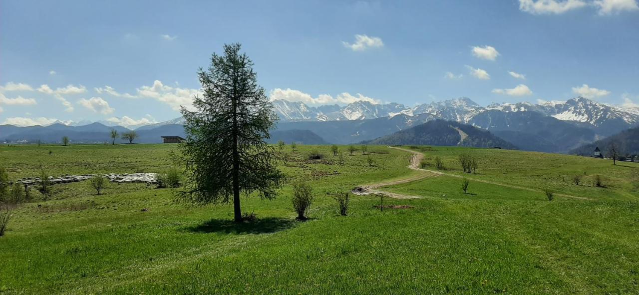 Pokoje Goscinne Przeklasa Pawel Закопане Экстерьер фото